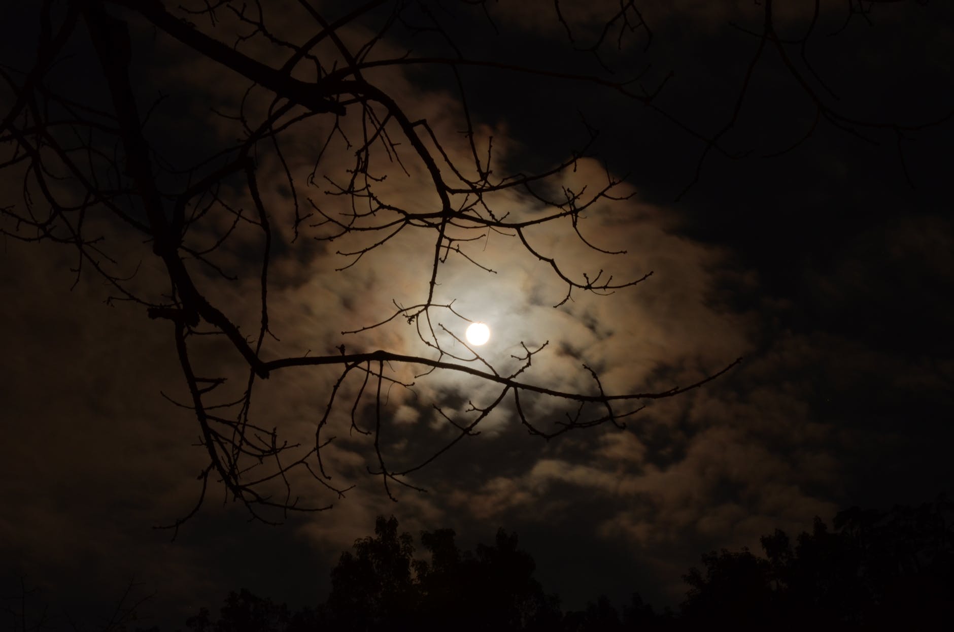 silhouette of tree branch under white cloudy skies during nighttime