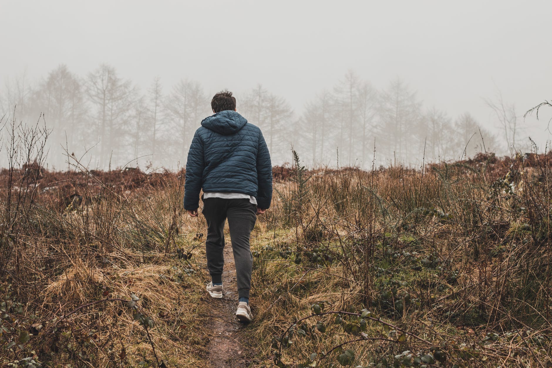 man wearing blue bubble hoodie jacket walking on green grass field