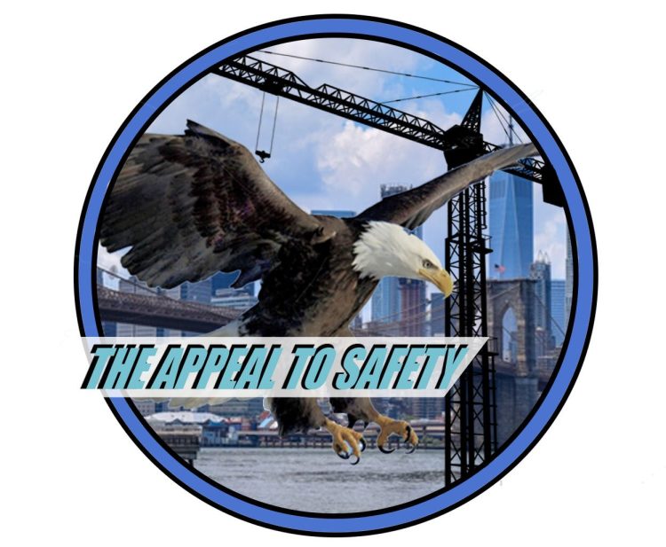 cropped-the-appeal-to-safety-logo-1.jpg